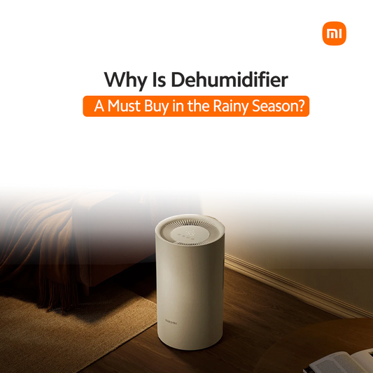Why Is Dehumidifier a Must Buy in the Rainy Season?